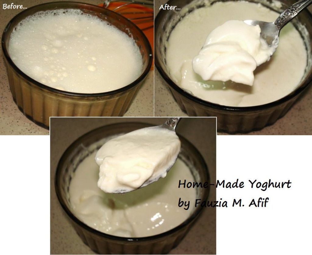 Home-Made Yoghurt